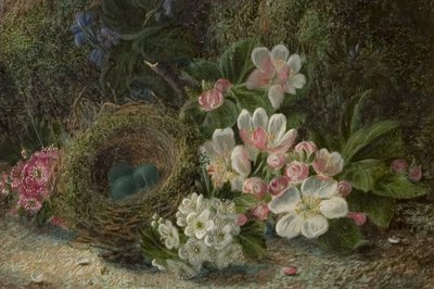 Vogelnest mit Apfel- und Weißdornblüten, 1893 von Oliver Clare
